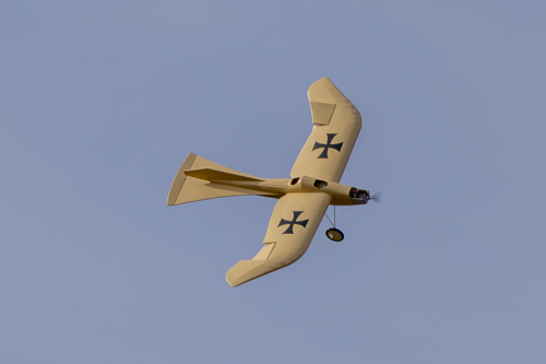 IMG 5534-Enhanced-NR