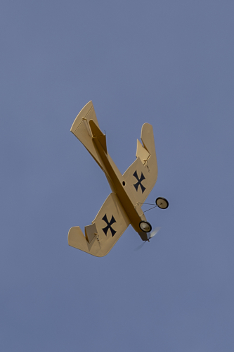 IMG 5556-Enhanced-NR