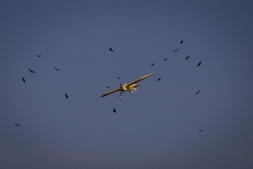 IMG 5557-Enhanced-NR