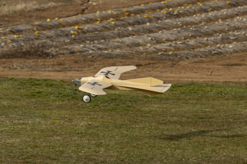 IMG 5576-Enhanced-NR