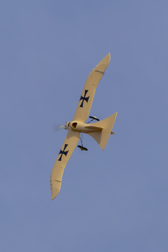 IMG 5700-Enhanced-NR