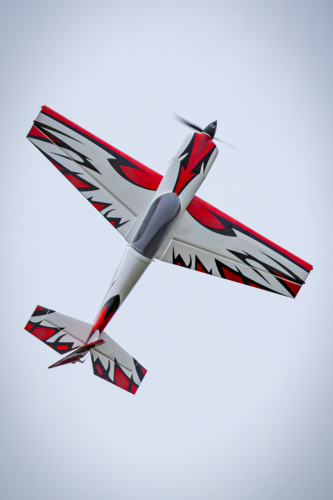 IMG 5708-Enhanced-NR