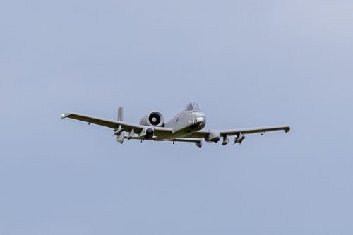 IMG 5931