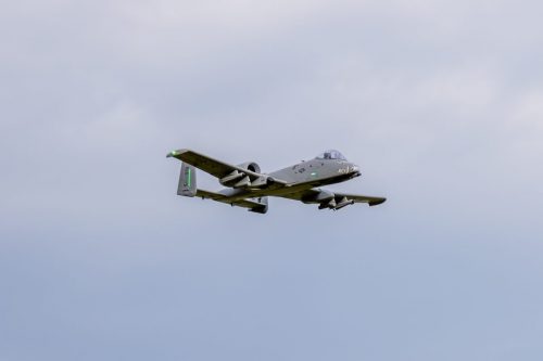 IMG 5942