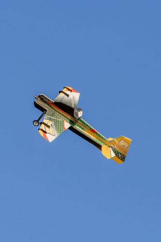 IMG 5968