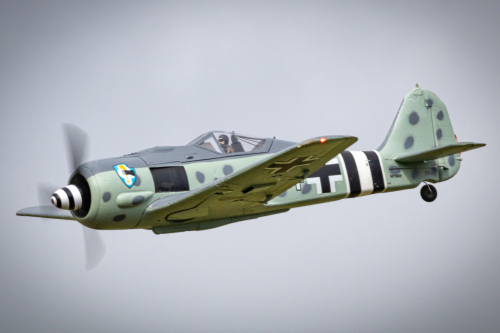 IMG 6016-Enhanced-SR