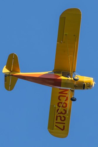 IMG 6025