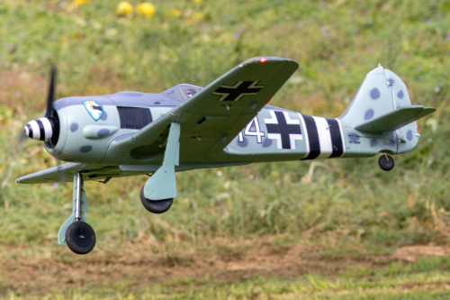 IMG 6060-Enhanced-SR