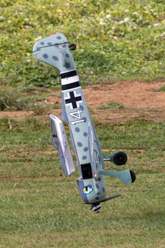 IMG 6064-Enhanced-SR