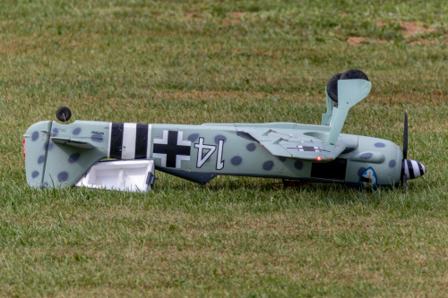 IMG 6071-Enhanced-SR