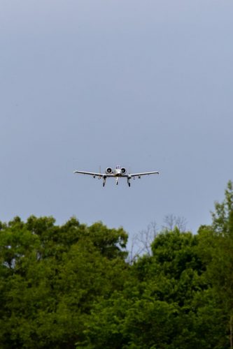 IMG 6091