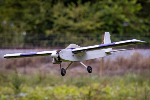 IMG 6139-Enhanced-SR