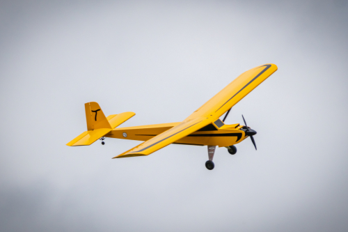 IMG 6163-Enhanced-SR