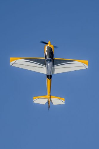 IMG 6169
