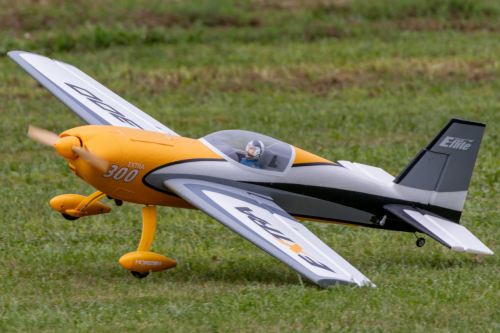 IMG 6199-Enhanced-SR