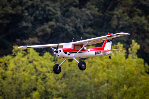 IMG 6284-Enhanced-NR