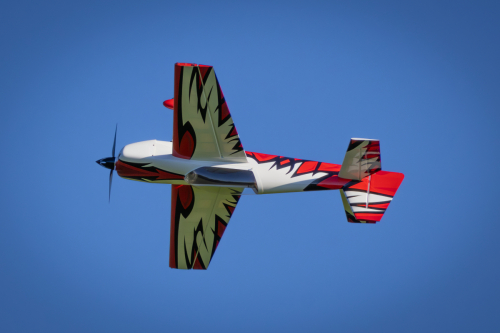 IMG 6575-Enhanced-NR