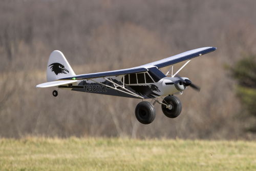 IMG 6616-Enhanced-NR