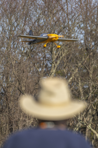 IMG 6660-Enhanced-NR