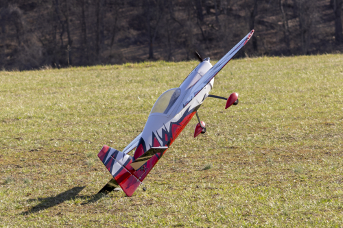 IMG 6691-Enhanced-NR