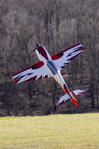 IMG 6695-Enhanced-NR