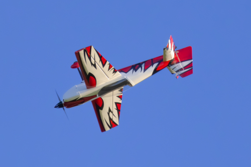 IMG 6726-Enhanced-NR