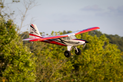 IMG 6782-Enhanced-NR