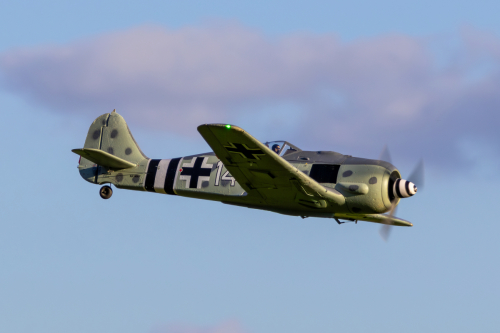 IMG 6803-Enhanced-NR