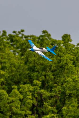 IMG 6818-Enhanced-NR