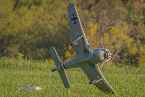 IMG 6867-Enhanced-NR