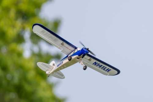 IMG 6896-Enhanced-NR