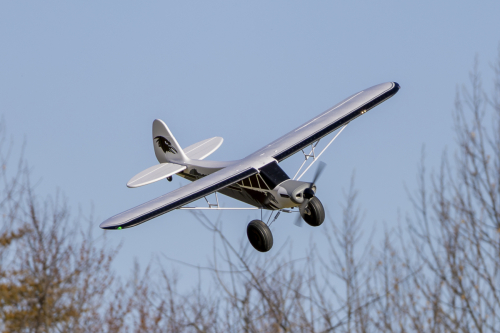 IMG 6901-Enhanced-NR