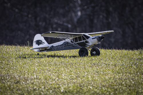 IMG 6916-Enhanced-NR