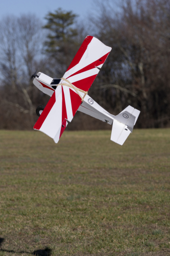 IMG 6925-Enhanced-NR