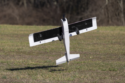 IMG 6968-Enhanced-NR