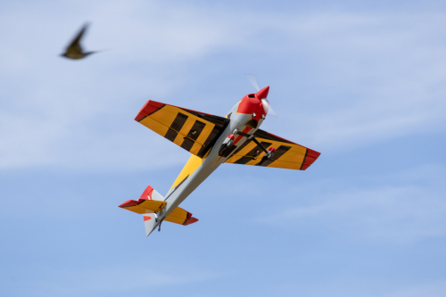 IMG 7004-Enhanced-NR