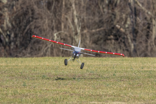 IMG 7066-Enhanced-NR