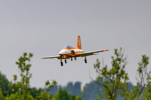 IMG 7110