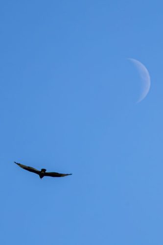 IMG 7114 (1) (1)