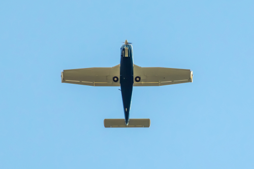 IMG 7157-Enhanced-NR