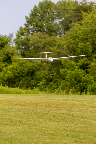 IMG 7160-Enhanced-NR