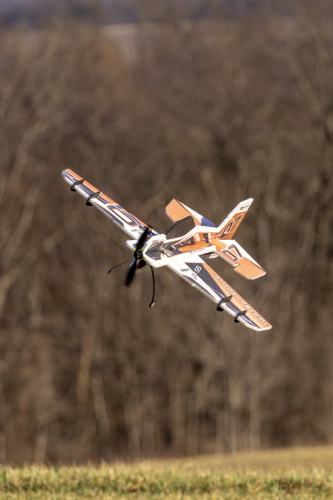 IMG 7218-Enhanced-NR