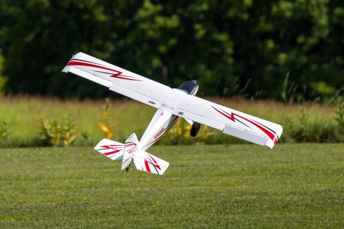 IMG 7219