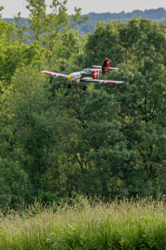 IMG 7263-Enhanced-NR