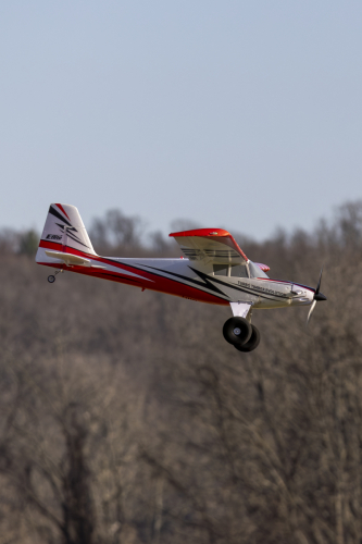 IMG 7330-Enhanced-NR