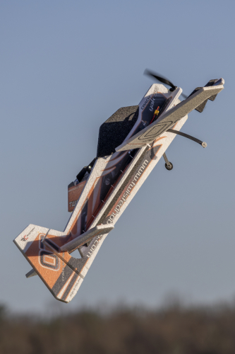 IMG 7375-Enhanced-NR