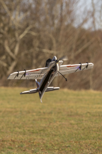 IMG 7404-Enhanced-NR