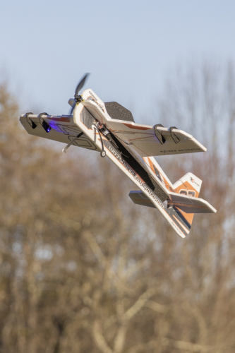 IMG 7405-Enhanced-NR