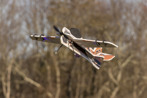 IMG 7407-Enhanced-NR