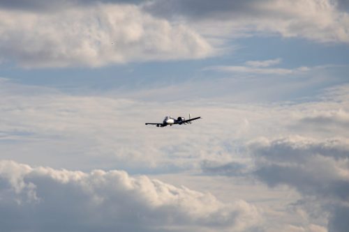 IMG 7408